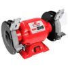 MOTOESMERIL 1CV 220V - WORKER