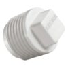 PLUG ROSCAVEL PVC 3/4 - KRONA