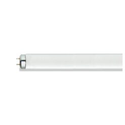 LAMPADA FLUORESCENTE TUBULAR 20W PHILIPS
