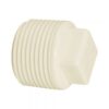 PLUG ROSCAVEL PVC 3/4 - AMANCO